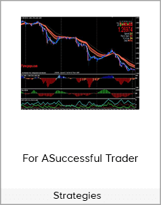 Strategies For ASuccessful Trader