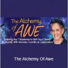 Andrew Harvey - The Alchemy Of Awe