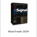 Bryce Gilmores - WaveTrader 2004