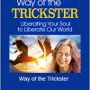 Caroline Casey - Way of the Trickster