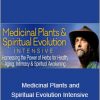 David Crow - Medicinal Plants and Spiritual Evolution Intensive