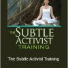 David Nicol - The Subtle Activist Training