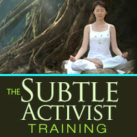 David Nicol - The Subtle Activist Training