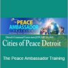 James O'Dea - The Peace Ambassador Training