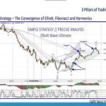 Jody Samuels - Elliott Wave Forex Course