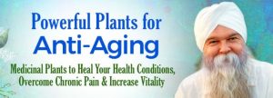 K.P. Khalsa - Powerful Plants For Anti-Aging