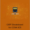 Lazaro (Laz) Diaz - OSPF Breakdown! for CCNA R/S