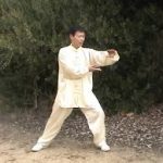 Master Tsao - Shaolin Qigong Luohan 13 Forms