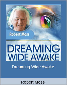 Robert Moss - Dreaming Wide Awake