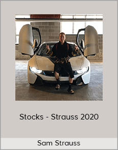 Sam Strauss - Stocks - Strauss 2020