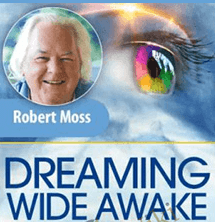 Robert Moss - Dreaming Wide Awake 