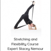 Stacey Nemour - Stretching and Flexibility Course - Expert Stacey Nemour (Academy for Dance, LLC © 2019)