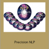 Steve G. Jones - Precision NLP