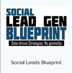 The Day Brothers - Social Leads Blueprint