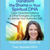 Wendy De Rosa - Transform The Shame In Your Spiritual DNA