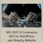 Arun - SEO 2017: E-Commerce SEO for WordPress and Shopify Website