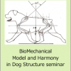 Evgenij Yerusalimsky - BioMechanical Model and Harmony in Dog Structure seminar