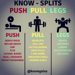 FITXFEARLESS - Push & Pull Program