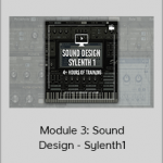 Francois - Module 3: Sound Design - Sylenth1