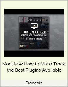 Francois - Module 4: How to Mix a Track - the Best Plugins Available