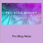 Gabriela Higa - Pro Blog Ninja (Cursos de Gabriela Higa 2020)