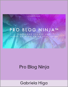 Gabriela Higa - Pro Blog Ninja (Cursos de Gabriela Higa 2020)