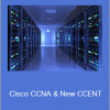 Lazaro (Laz) Diaz - Cisco CCNA & New CCENT (100-105) Labs & More!