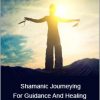 Sandra Ingerman - Shamanic Journeying For Guidance And Healing