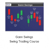 Terry Ashman’s - Gann Swings Swing Trading Course (HotTrader Tutorial)