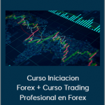 Vadim Z. - Curso Iniciacion Forex + Curso Trading Profesional en Forex (Dinka Financial 2020)