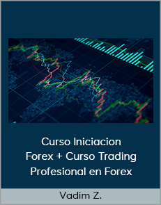 Vadim Z. - Curso Iniciacion Forex + Curso Trading Profesional en Forex (Dinka Financial 2020)