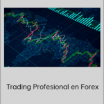 Vadim Z. - Trading Profesional en Forex (Dinka Financial 2020)