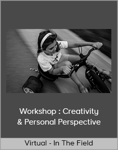 Virtual - In The Field - Workshop : Creativity & Personal Perspective