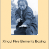 Adam Hsu - Xingyi Five Elements Boxing