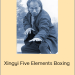 Adam Hsu - Xingyi Five Elements Boxing