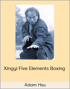 Adam Hsu - Xingyi Five Elements Boxing