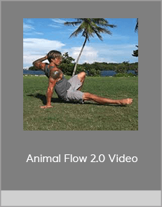 Animal Flow 2.0 Video