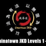 Chinatown Jeet Kune Do Lessons Levels 1 - 3