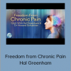 Hal Greenham and Howard Schubiner - Freedom from Chronic Pain