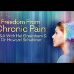 Hal Greenham and Howard Schubiner - Freedom from Chronic Pain