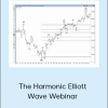 Harmonicelliottwave - The Harmonic Elliott Wave Webinar