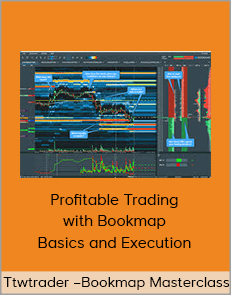 Ttwtrader – Bookmap Masterclass – Profitable Trading with Bookmap – Basics and Execution