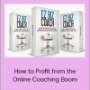 ez Biz Coach - How to Profit from the Online Coaching Boom