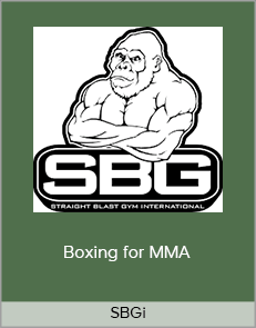 SBGi - Boxing for MMA