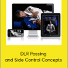 Sebastian Brosche - DLR Passing and Side Control Concepts