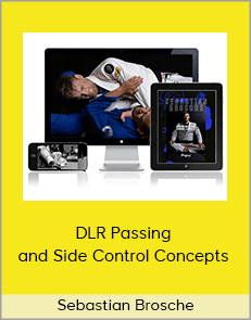 Sebastian Brosche - DLR Passing and Side Control Concepts