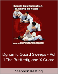 Stephan Kesting - Dynamic Guard Sweeps - Vol 1 The Buttterfly and X Guard