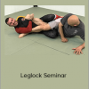 Stephan Kesting - Leglock Seminar