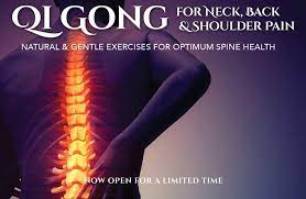 Bruce Frantzis - Qigong For Neck Back And Shoulder Pain