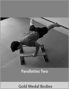 Gold Medal Bodies - Parallettes Two